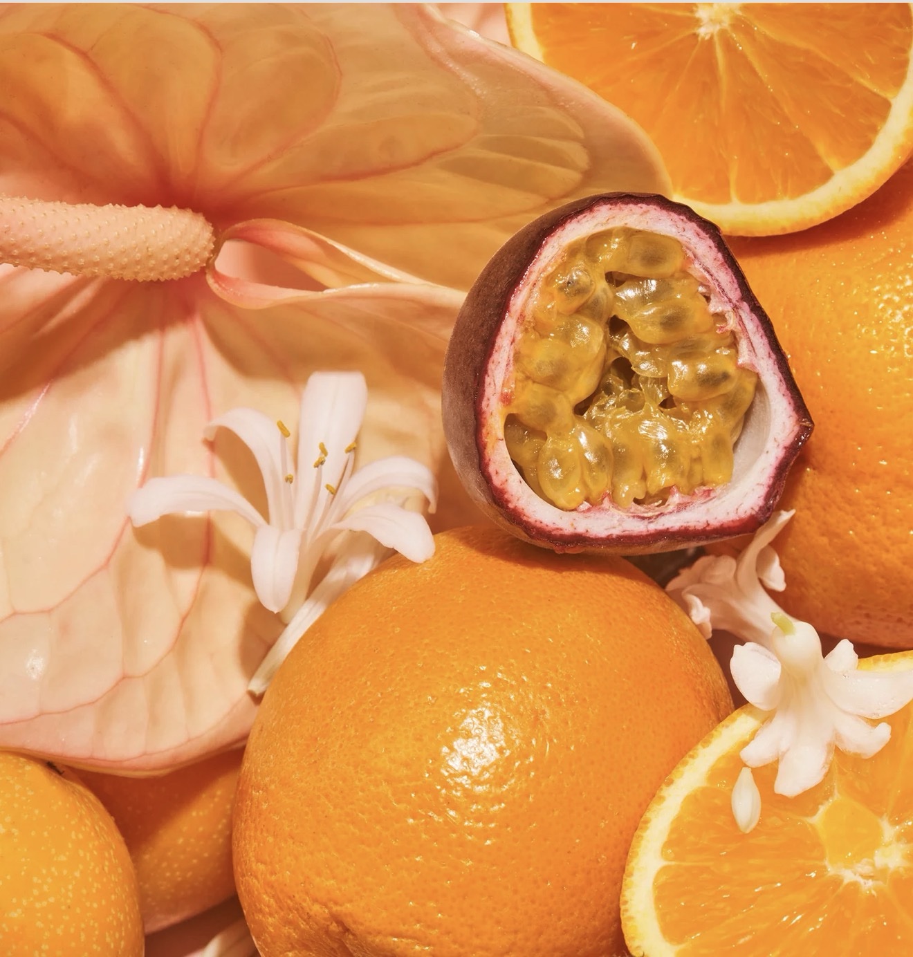 SALTAIR EXOTIC PULP BRIGHTENING BODY LOTION - Image 5